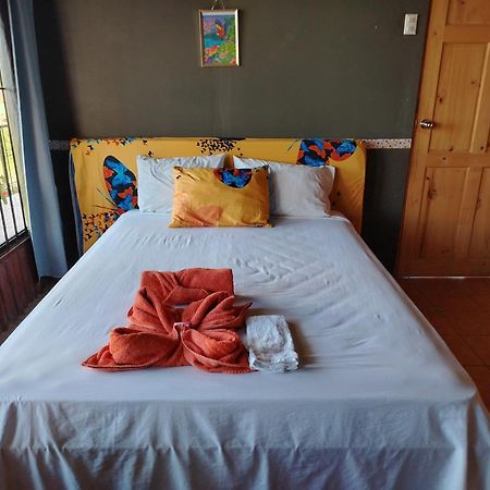 Sura House Corcovado Surinico Room With Ac Puerto Jimenez Exterior photo
